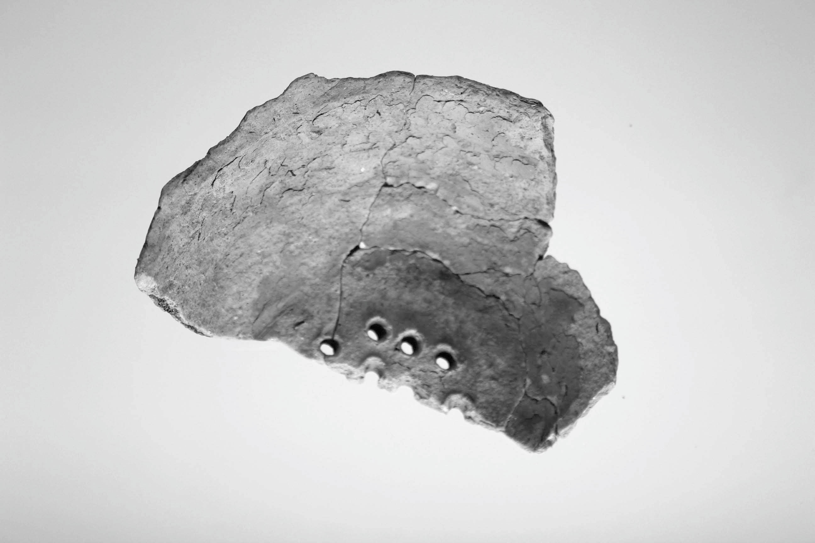 前津中ノ玉遺跡